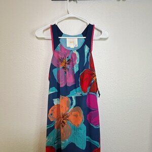 Anthropologie Maeve Women 4 Blue Multicolor Floral Chiffon Sleeveless Maxi Dress